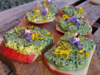 Atelier découverte des plantes sauvages et comestibles